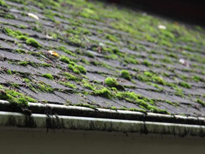 How much does roof cleaning cost Didcot