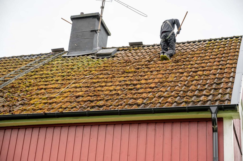 Roof moss removal Oxfordshire
