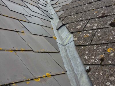 Didcot roof moss remover